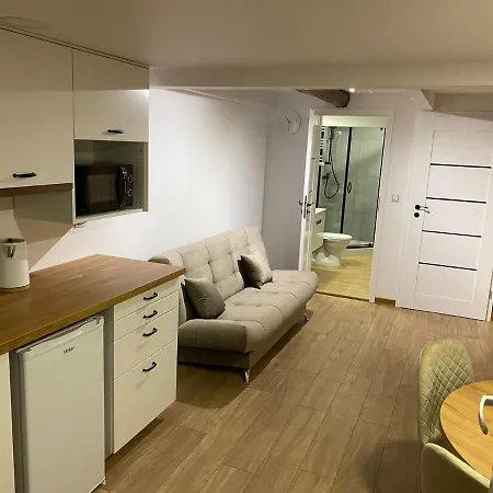 Apartamenty Filip W Kudowie-Zdroju Bad Kudowa Exterior foto